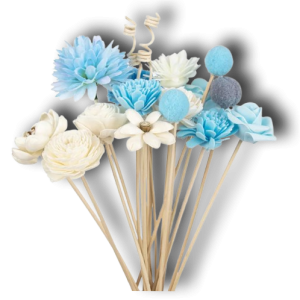 Untitled-7png-1-e1732568629850-300x300 (1)